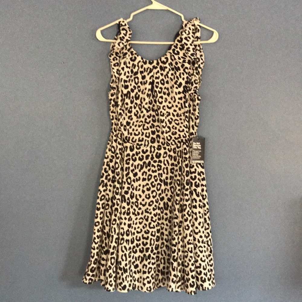 Express Dress